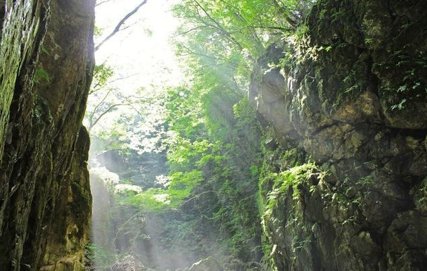 08年日本5名学生溶洞探险，一人意外失踪，事后疑点重重细思极恐