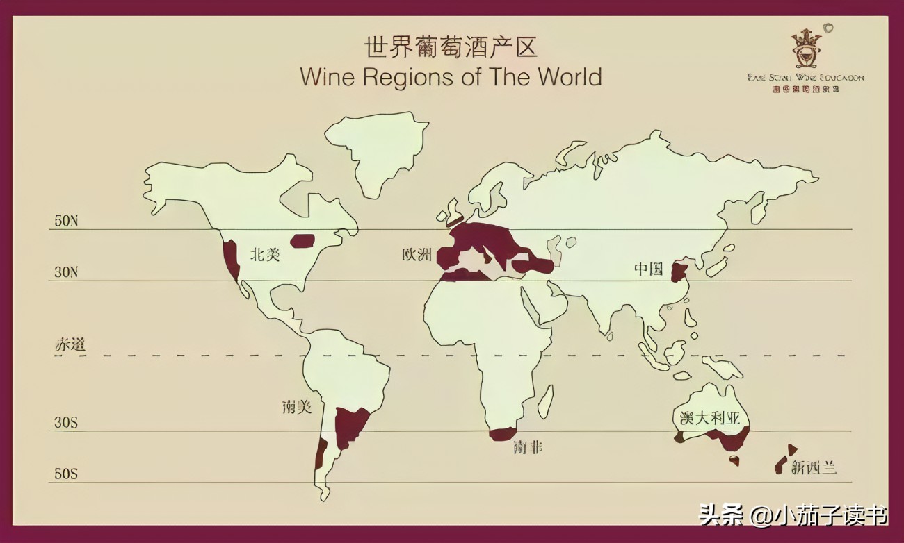 憑什么好葡萄酒，法國造！帶你認識法國葡萄酒