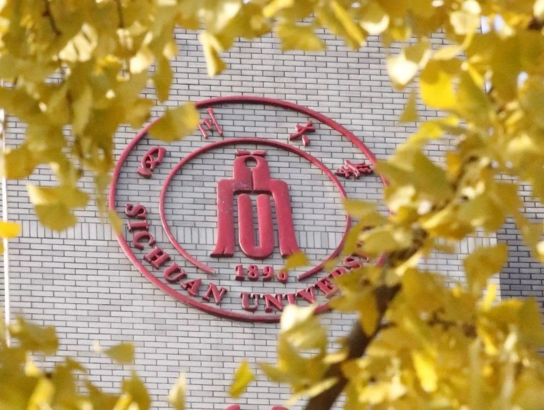 权威发布！四川大学2022年强基计划招生简章！