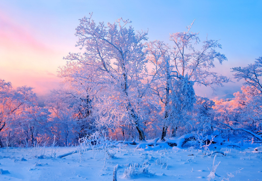 历尽天华成此景,八首有关雾凇的诗词,交织成一幅冬日美景
