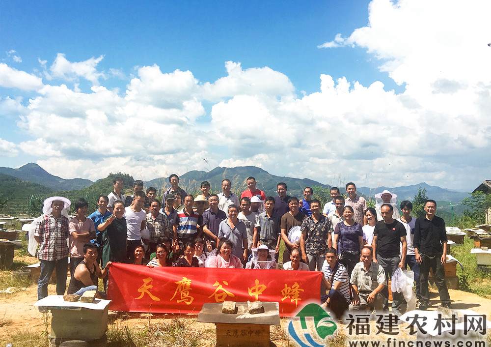 互联网+智能养蜂 开启无限“蜂”景