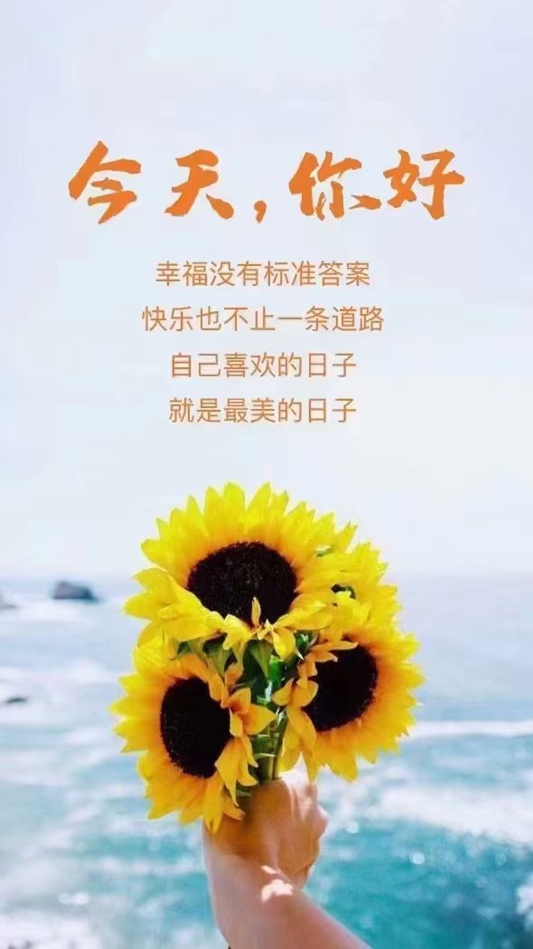 早安语录 生活中走过的每一段路,其实都是一种领悟