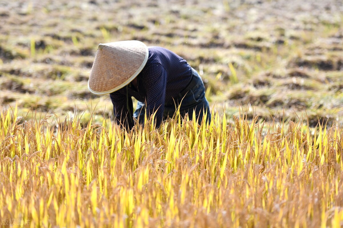 问长辈年龄怎么问（问长辈年龄怎么问二字词）-第2张图片-巴山号