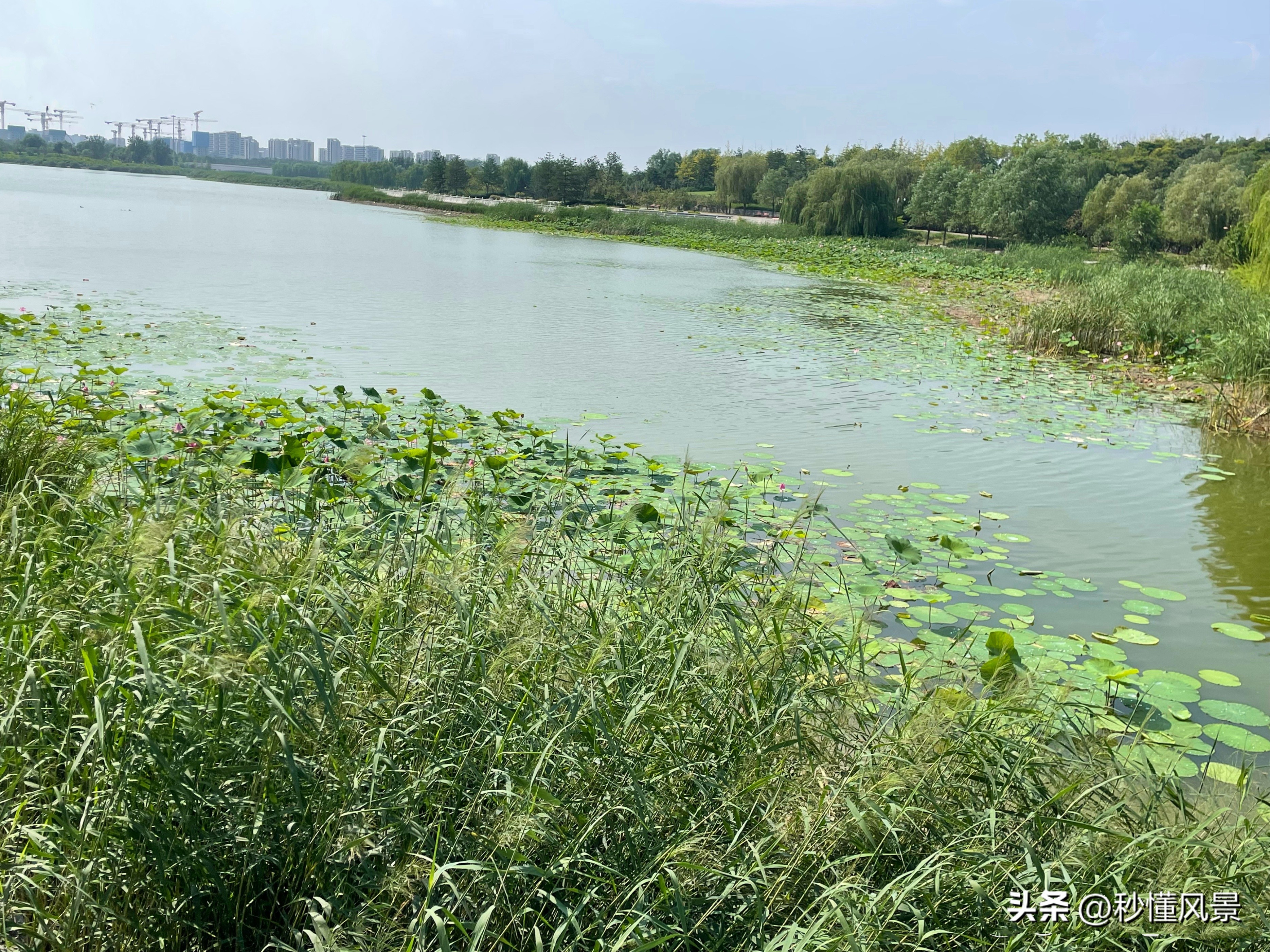 北京奥林匹克公园开放时间及门票(北京最大的湿地公园，比4个颐和园还大，不要门票却少有游客知道)