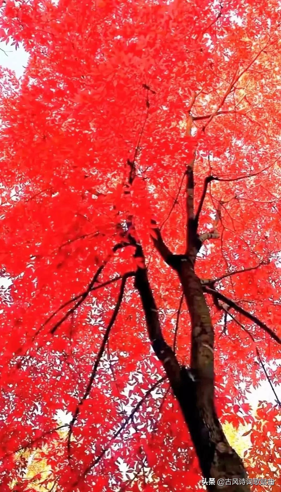 100句既有正能量，又温暖人心的句子，简短文艺，治愈心灵