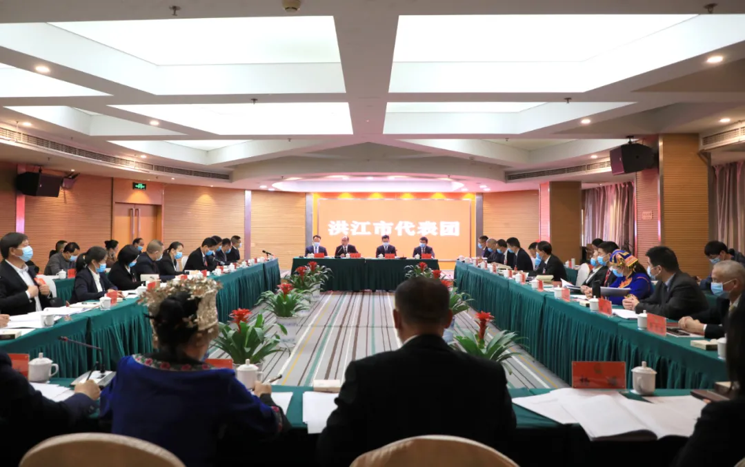 各代表团分组审议政府工作报告