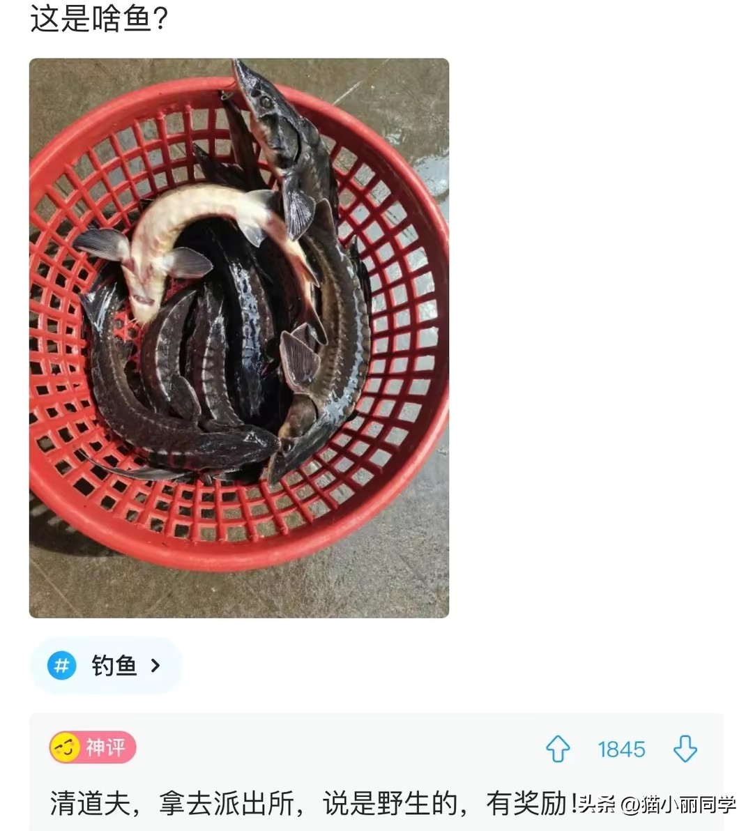还好外国人不懂中文，看到他们身上的纹身，实在是太尴尬了！哈哈