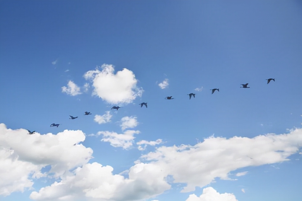 未入选《唐诗三百首》最著名的20首诗，其中有很多首你都能背下来