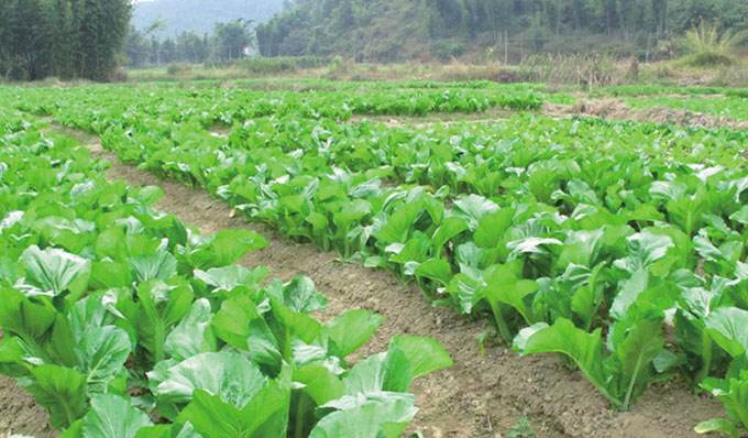 2014年，徐传红勇救母子3人牺牲，政府补偿66万，葬礼上千人送行