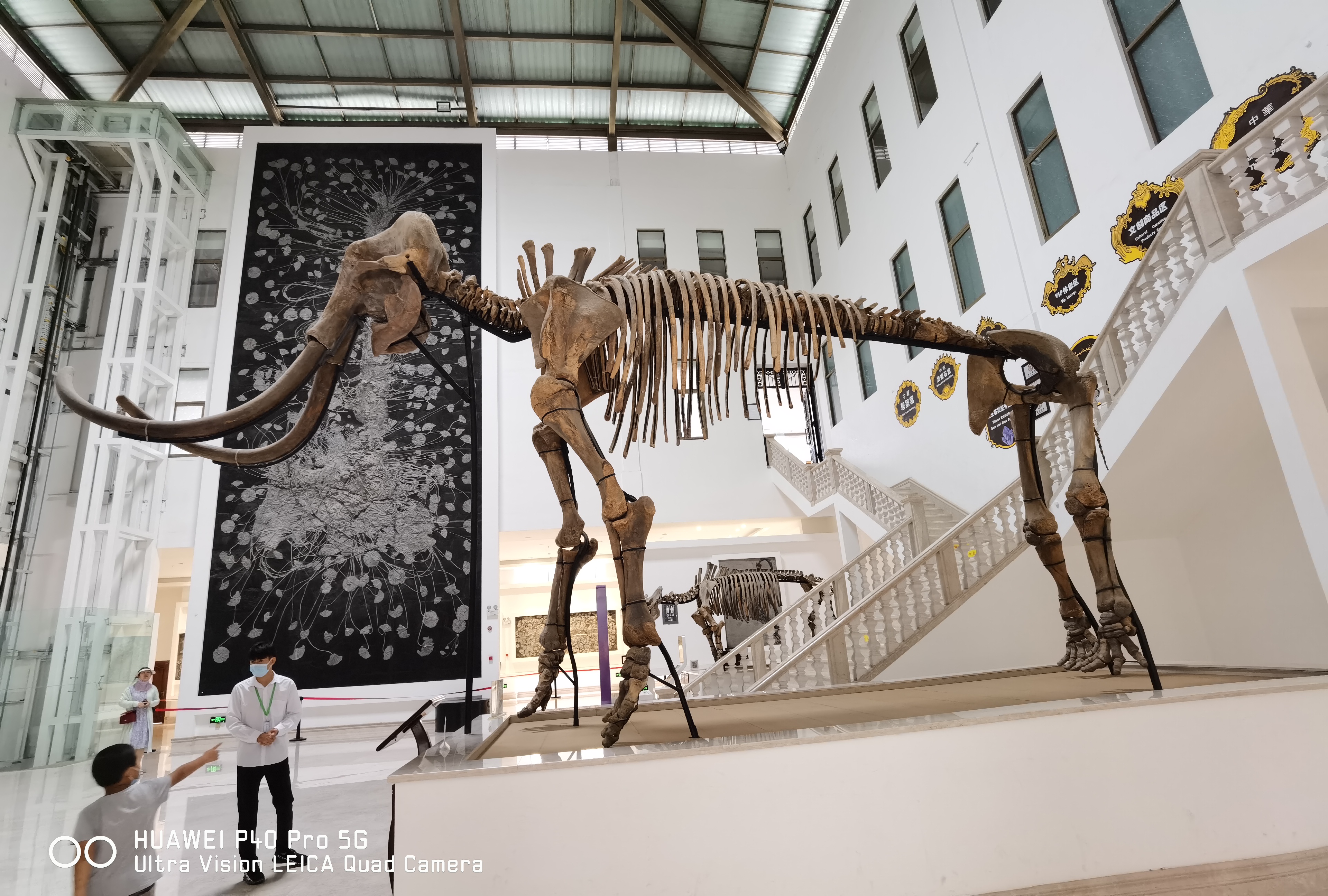 阿诗玛是什么意思（阿诗玛是什么意思阿诗玛是哪个民族的）-第37张图片-巴山号