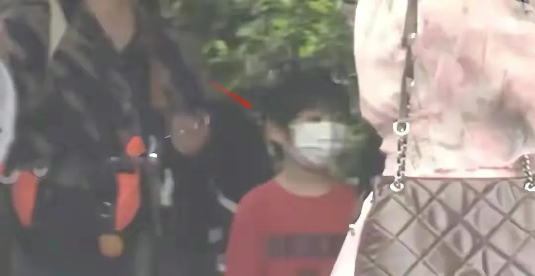 《爸哪》即将重启？多个营销号发博爆料，海豚海绵都在网友预测榜