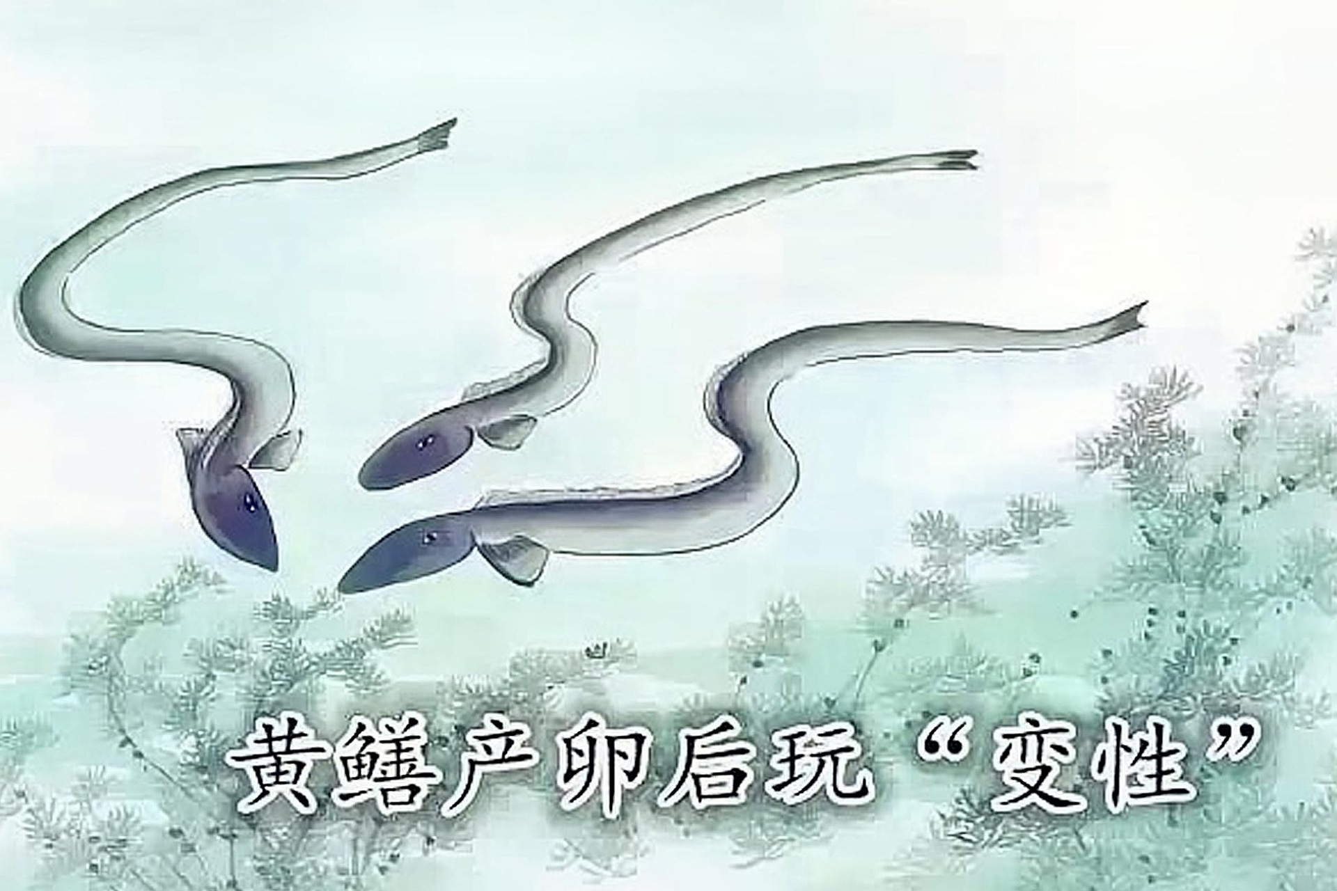 七八九月，对3种动物你要敬而远之，这是农村老人给我们的忠告
