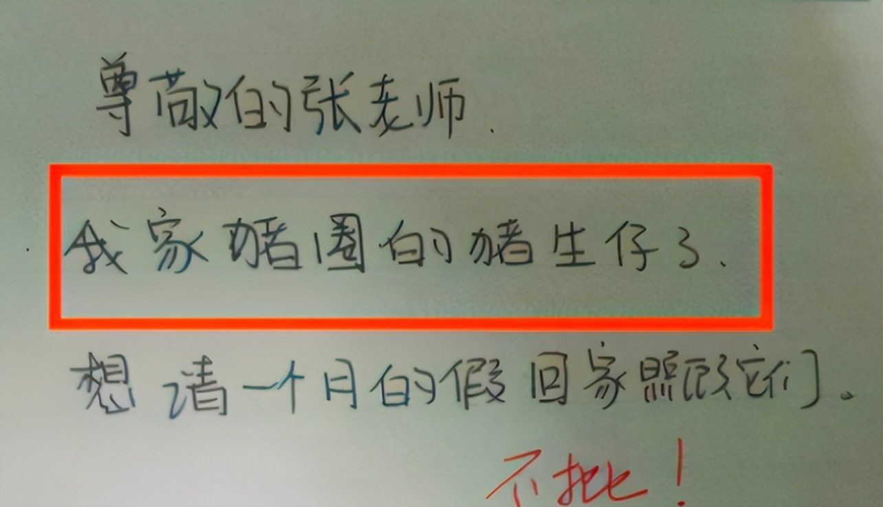 大学生的请假条走红，理由逐渐“沙雕”，网友：也太糊弄导员了吧