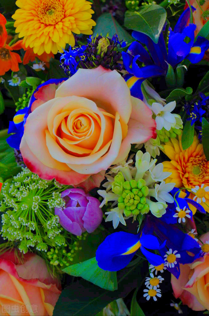 一花一深爱，万紫千红一树花，鸟语花香一惊艳，春有暖阳心有爱