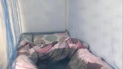 想对大学里养猫的同学说：请不要将爱心带到宿舍，我不喜欢猫