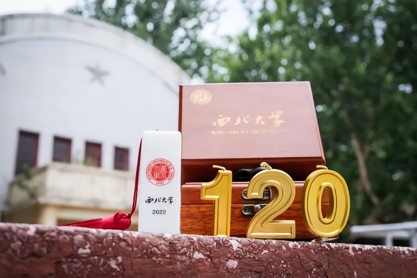 盛夏已至，未来已来！2022，西北大学等你如约而至，愿你向阳而生
