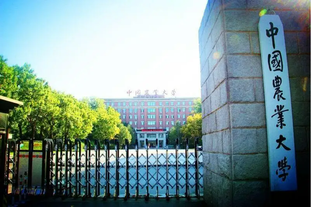 13岁神童考上985名校，茅台承诺资助4年学费，为何仅一年便喊停？