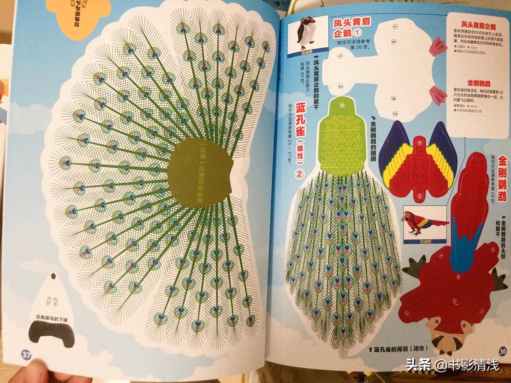 一本纸上博物馆，让孩子动手又动脑，制作自己的纸上模型