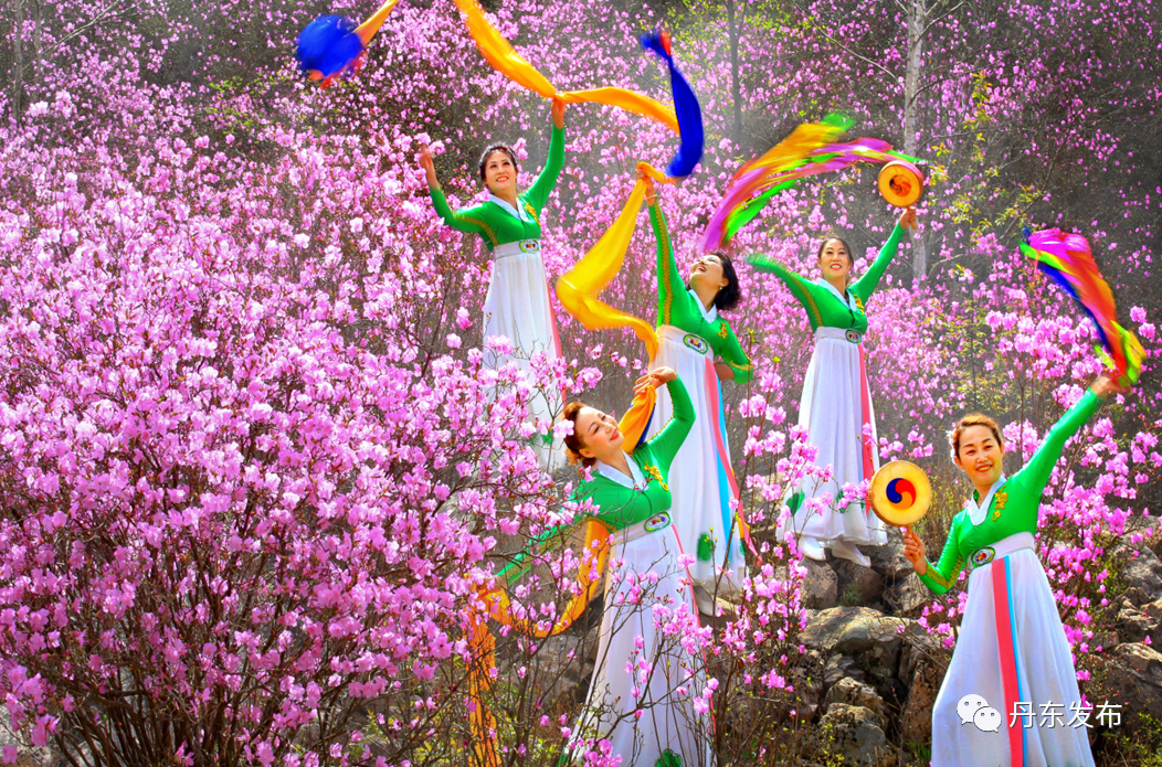 丹东这一地儿入选全国十大赏樱地！赏花攻略提前收藏