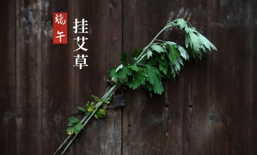 为什么端午节要挂艾草为什么端午节要挂艾草在门上
