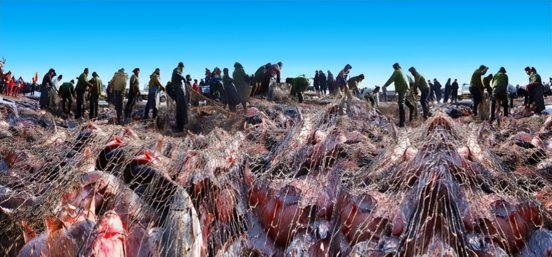 冬天的日本旅游景点（你知道，东北的冬天哪些地方最好玩吗？）