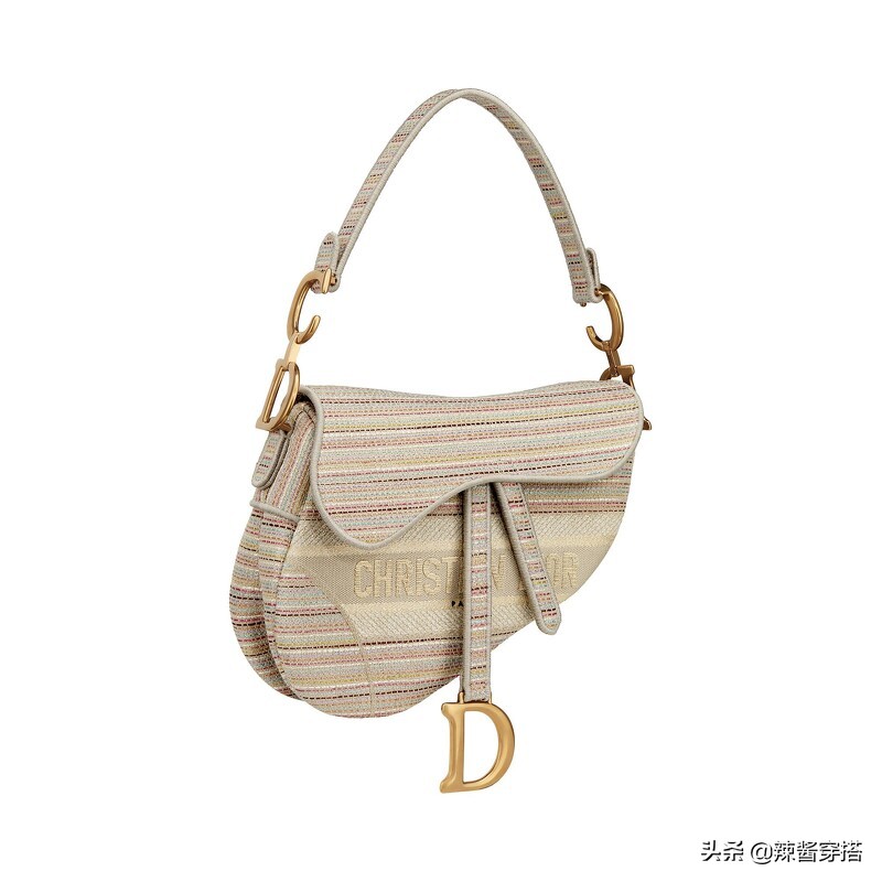 Dior Saddle、Book Tote到最新Micro Bag，一定要认识的5大经典包
