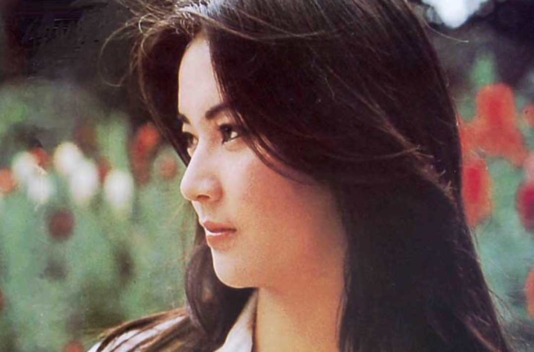 "霸王花"胡慧中:黑帮老大爱她一生,现任入狱不离不弃