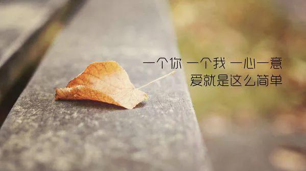 爱上你没道理，不计得失，只念真心