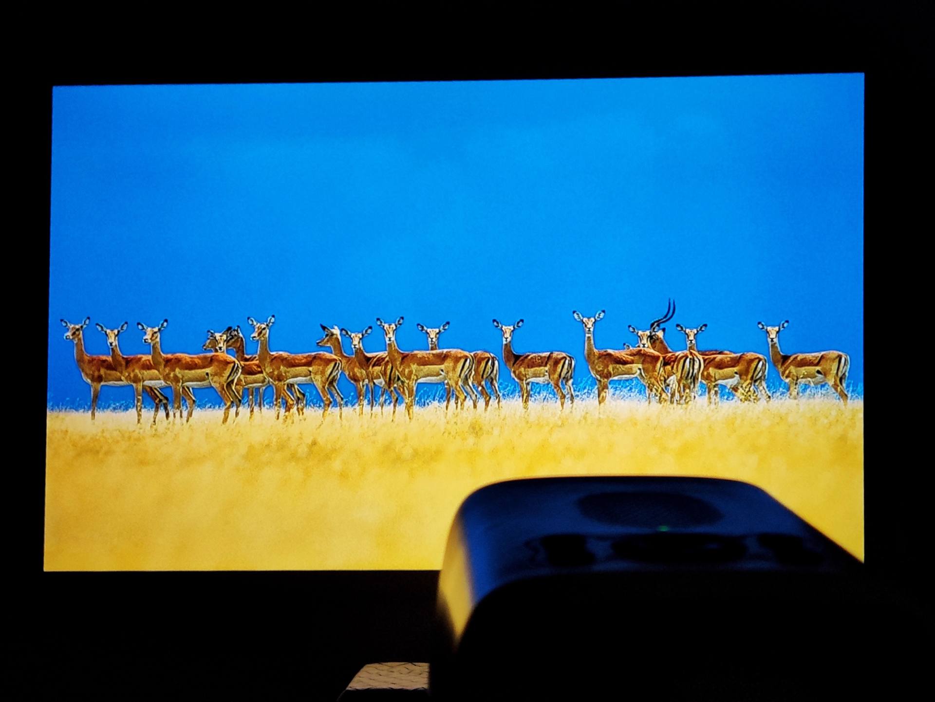 泰捷WEBOX T1S：疫情当下的居家观影新选择