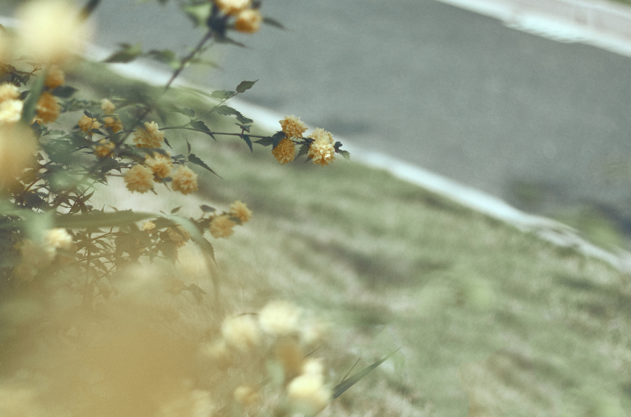 怀念小时候的玩伴,怀念过去的美好的时光,怀念曾经想念的人,怀念过去