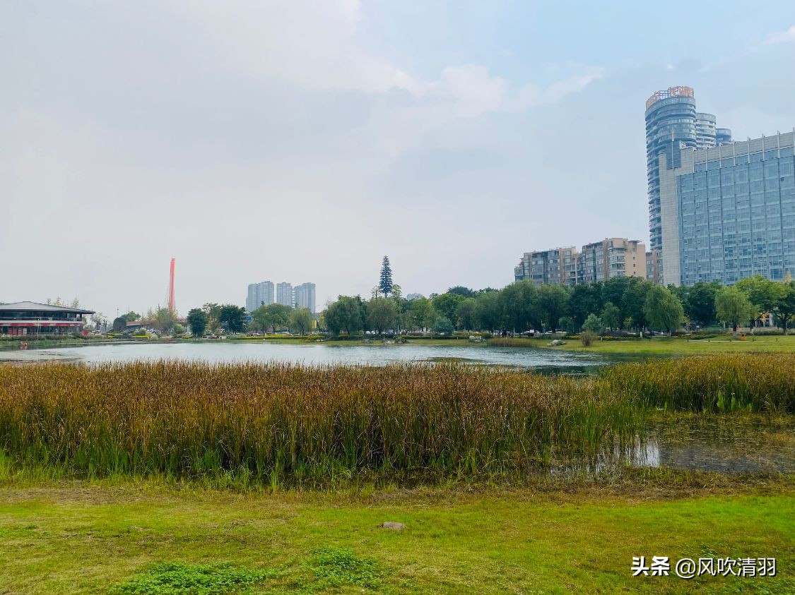 成都排名前5的公园，最小也有1800亩，西边和北边没上榜一个