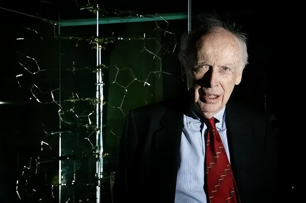 法国足球队有个黑人叫什么（狠狠打脸美国，阿根廷球队里，为什么没有黑人？）