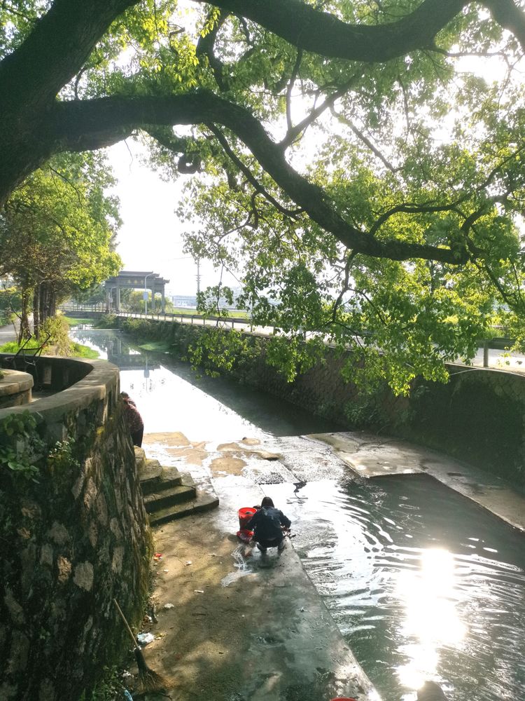 赞我家乡山水美 作者：黄定光