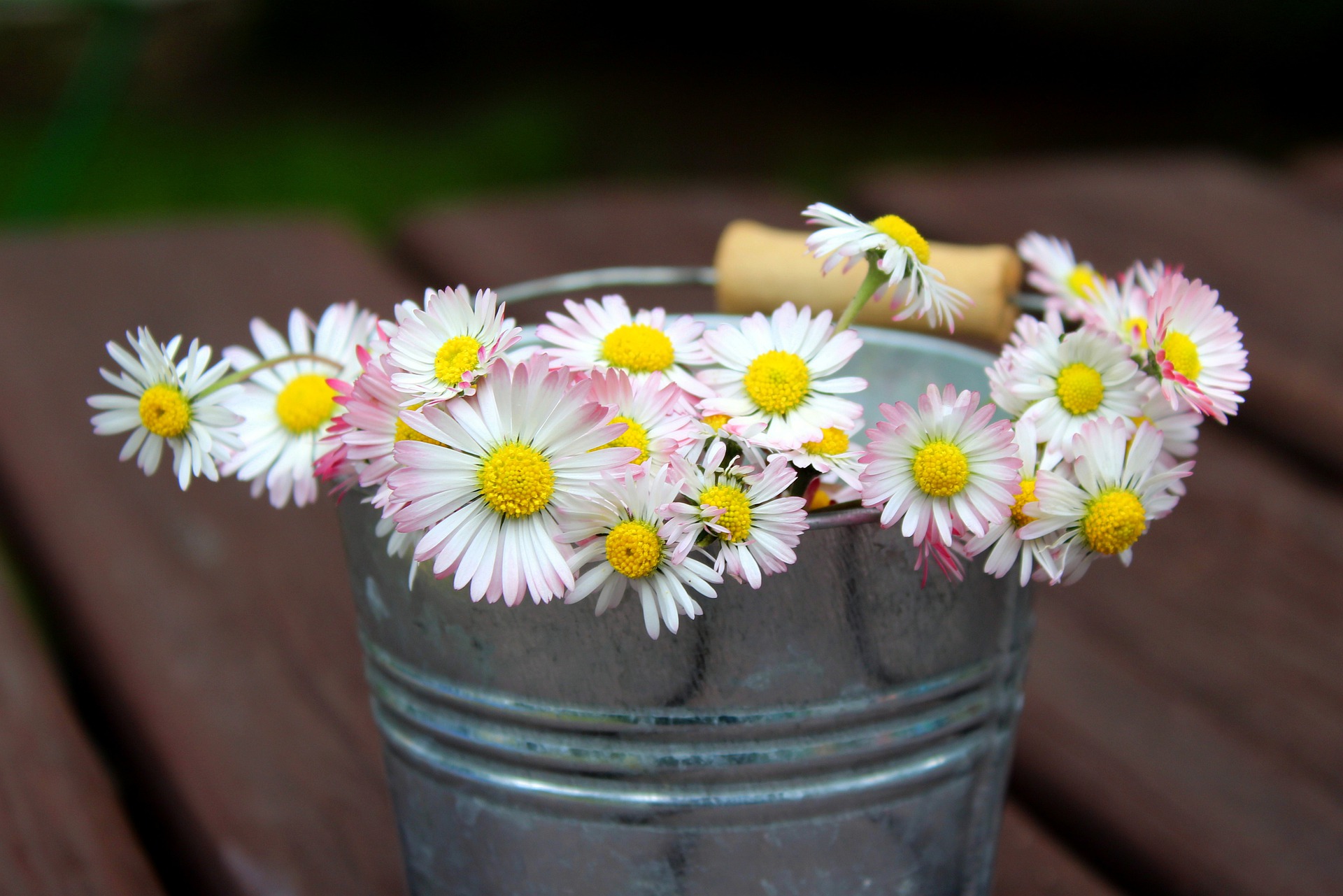 2022清明节，12条缅怀先辈的句子，表达哀思心情