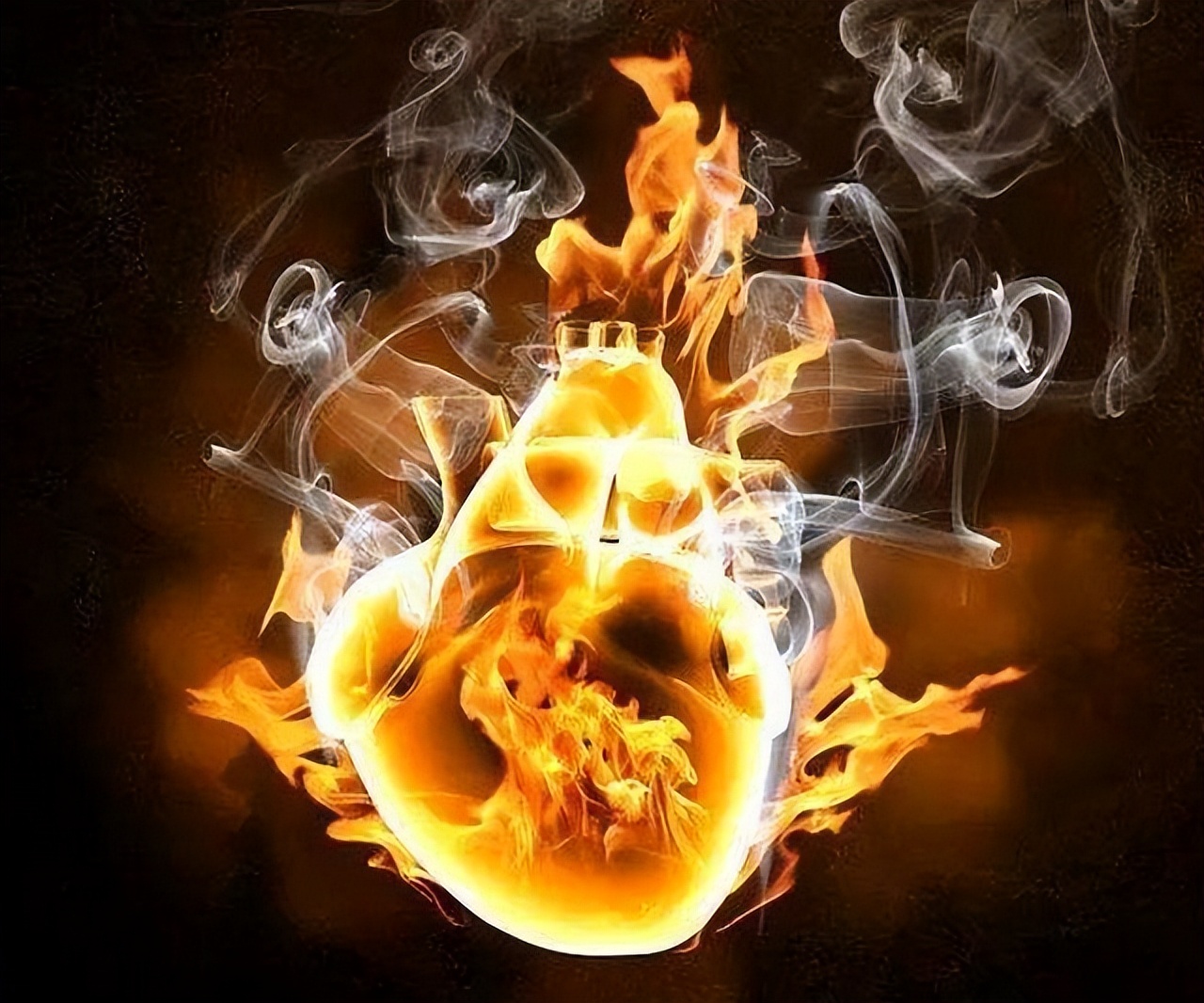 心火、胃火、肝火、肺火、腎火，身體會出現哪些改變？ 該怎麼降火