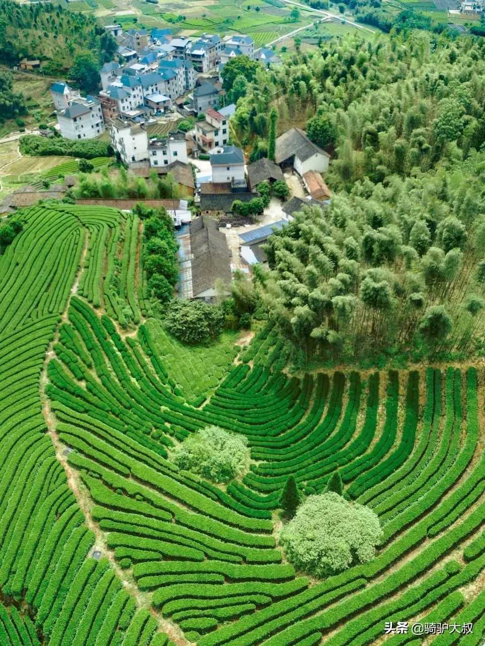 中国旅游卫视(8月强烈推荐！这14个绝美之地，人少景美，太适合夏天去了)