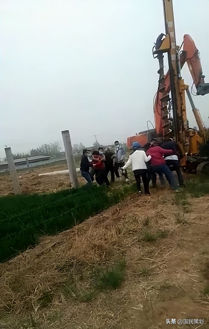 社会资本下乡，巧借“农光互补”毁麦，背后的肆无忌惮不容忽视？