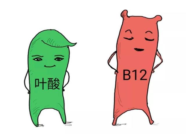 几块钱一瓶维生素b12,或可以"摆平"这5种疾病,早了解早受益