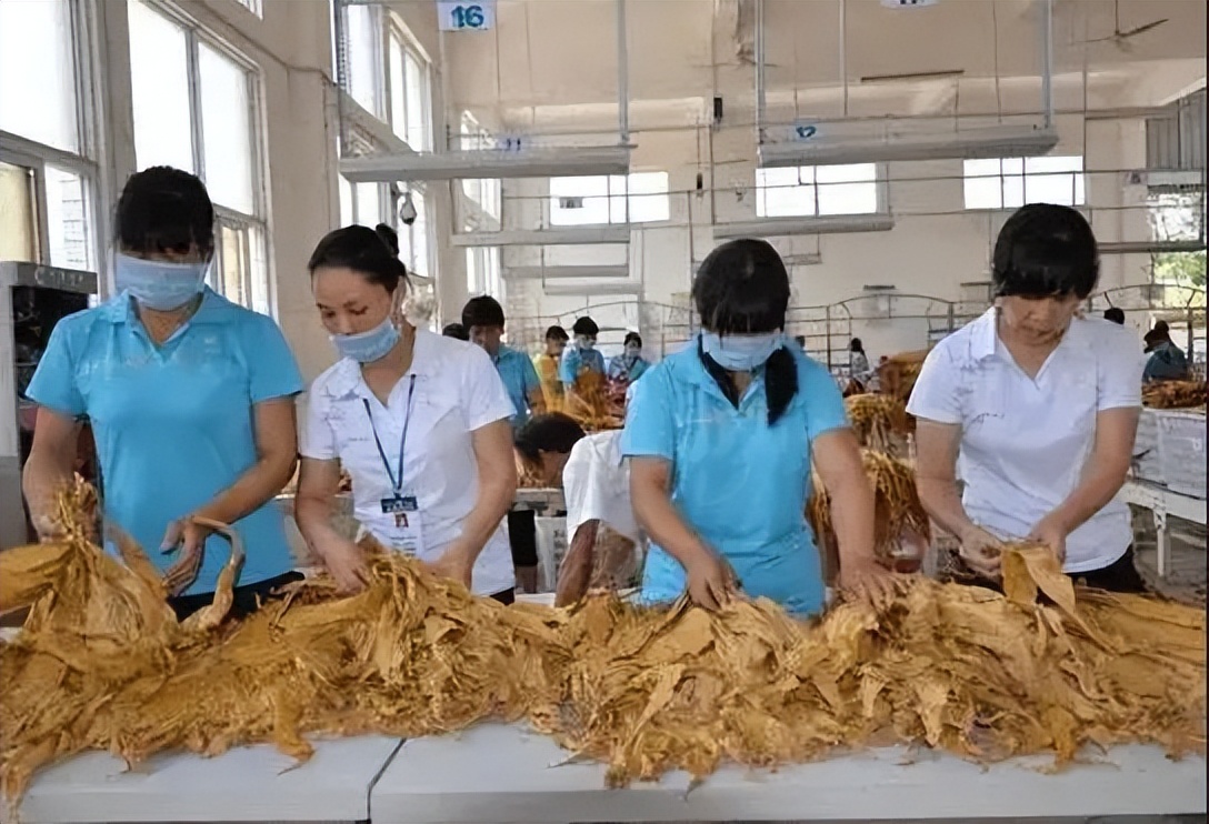 没人报的4个专业，“冷门”但就业后薪资很高，学生可以适当参考