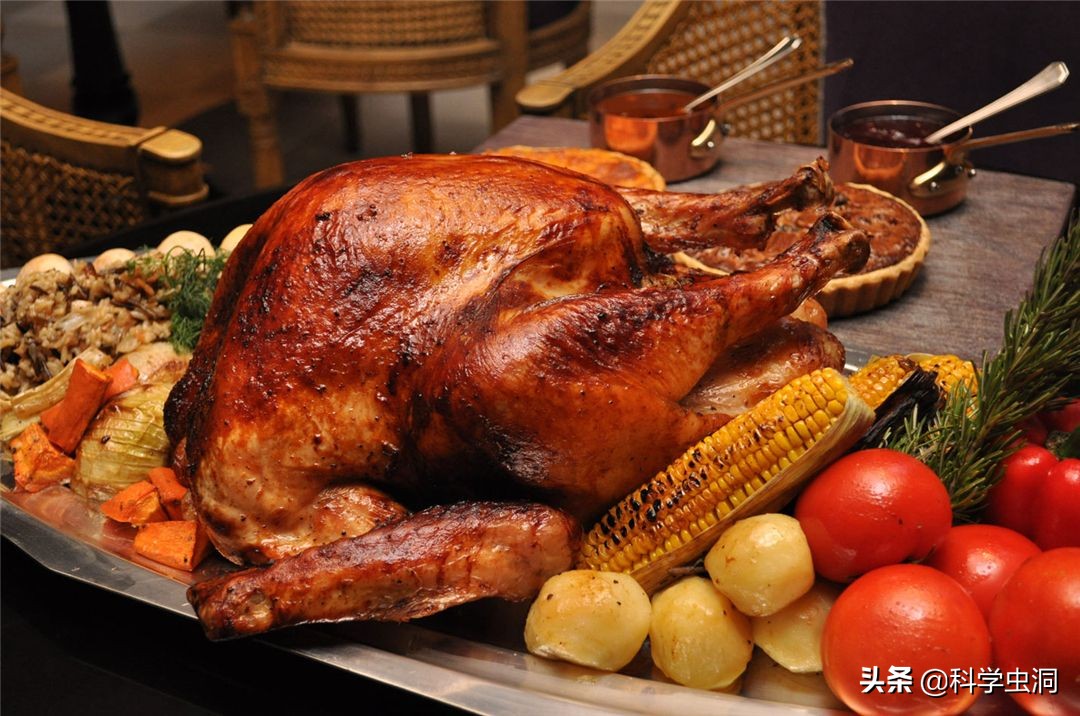 为啥西方备受欢迎的火鸡，中国却很少有人吃？还没什么人养
