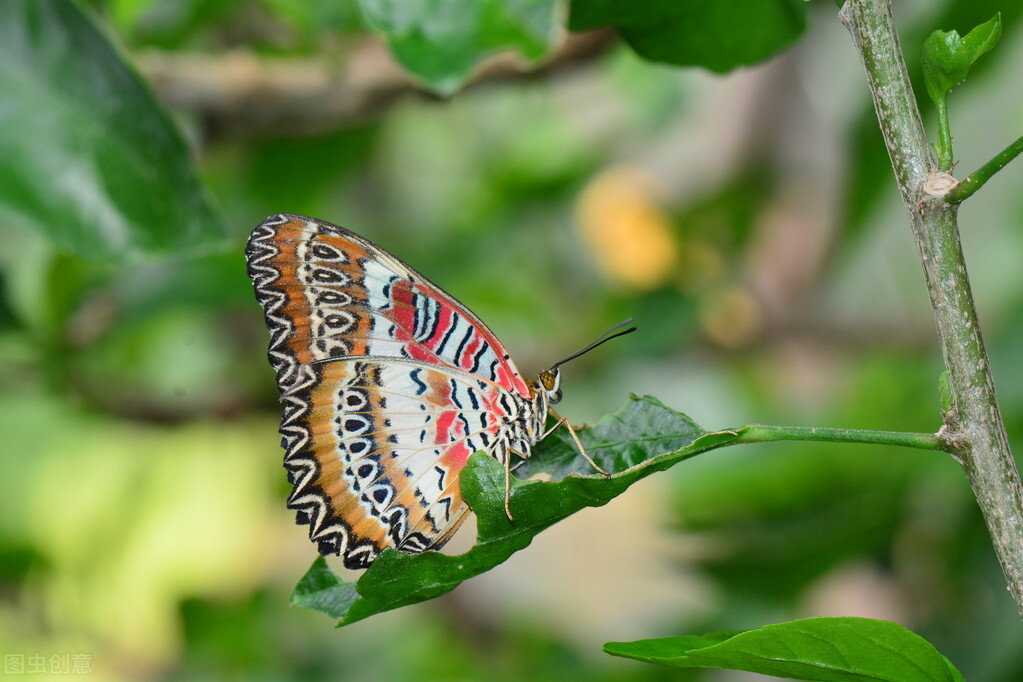 深情催泪情感美文：曾经的爱恋，曾经的悲欢