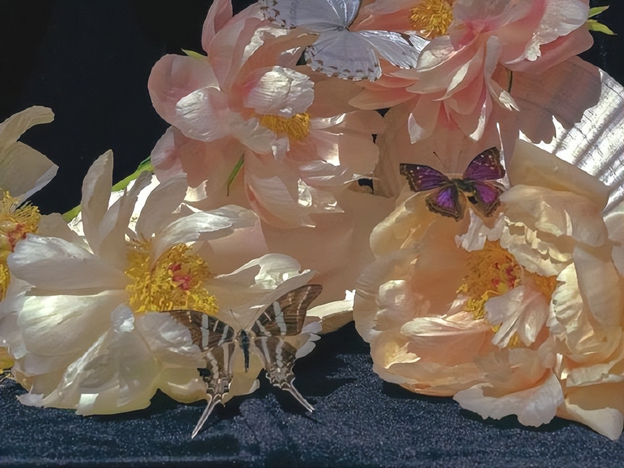 水瓶座在恋爱中的四个小心思？看似大大咧咧，实则很敏感，有温度