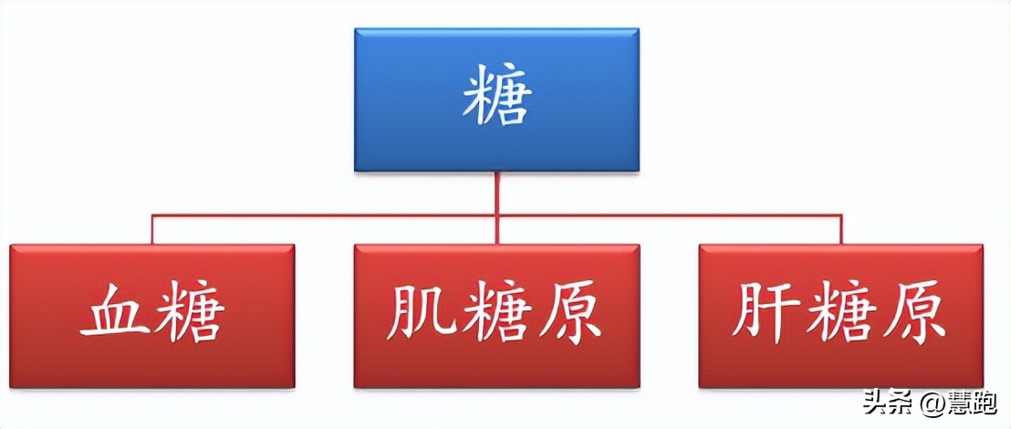 体重秤显示lo是什么意思（电子体重秤显示lo是什么意思）-第14张图片-科灵网