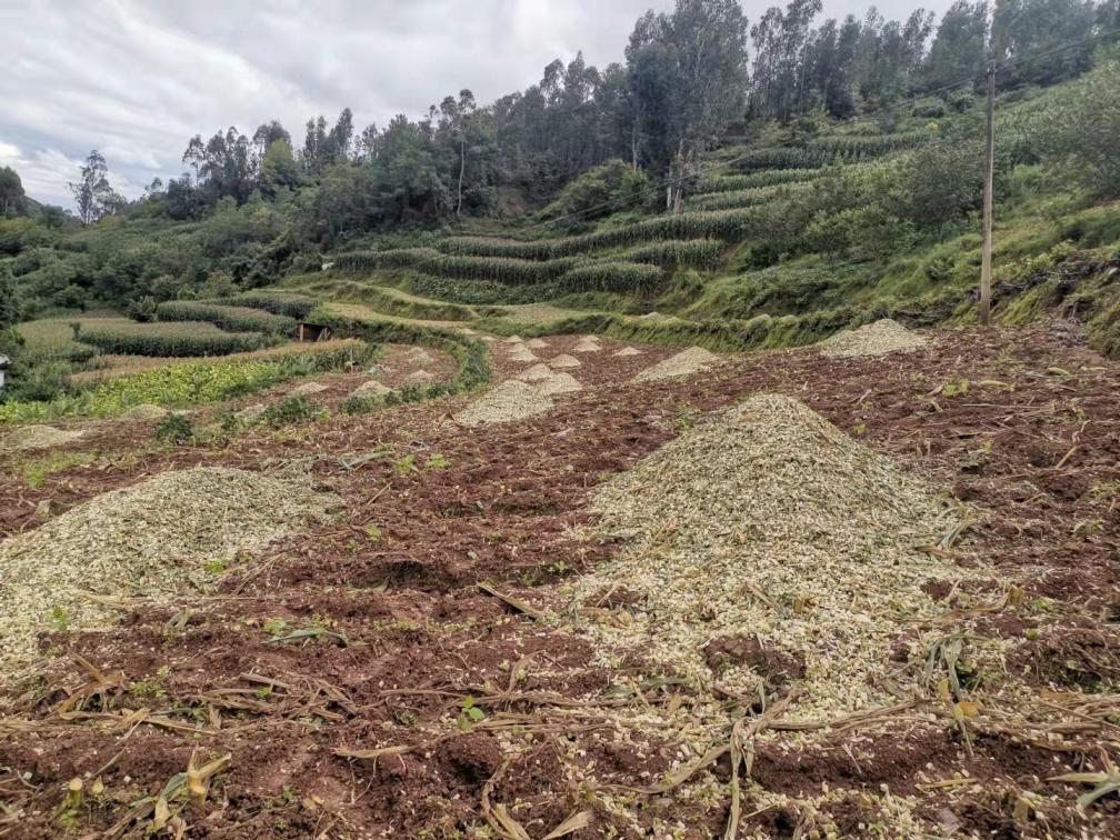 禄丰市以增减示范为抓手 实现耕地质量提升有新成效