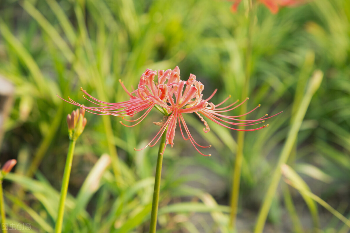 相隔很远，相思很深，亲爱的某人，五一快乐