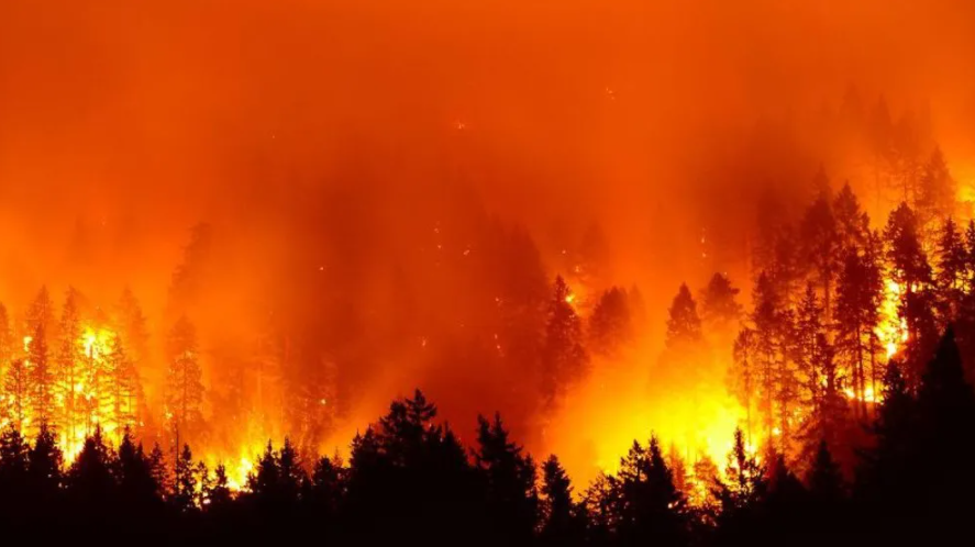 йɳĮɭֿ֣ȴ67%ȵĸԴҵˣ