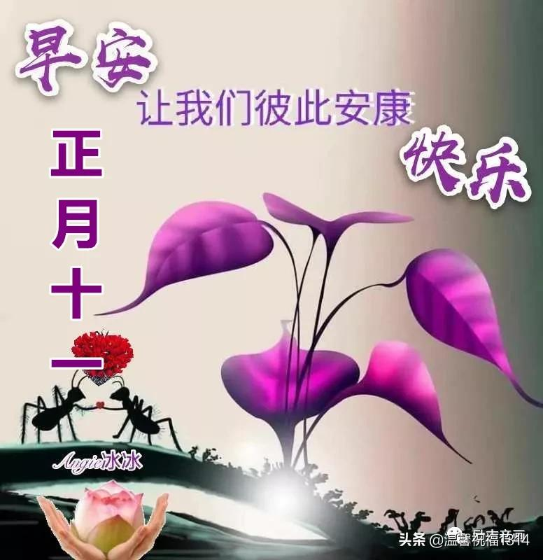 大年十一祝福图片大全图片