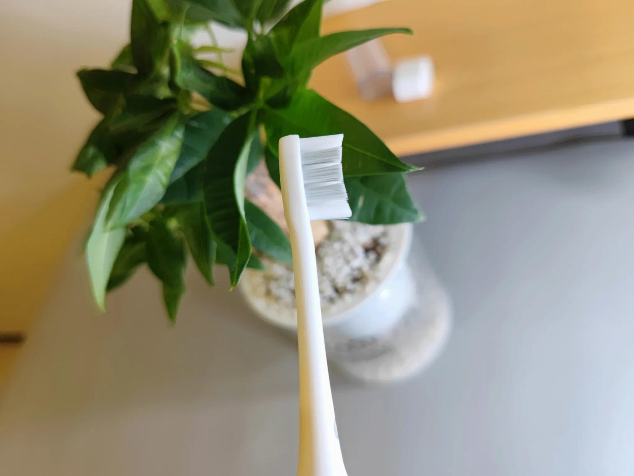 居家必备！电动牙刷小白看过来，这款左点电动牙刷你一定要知道