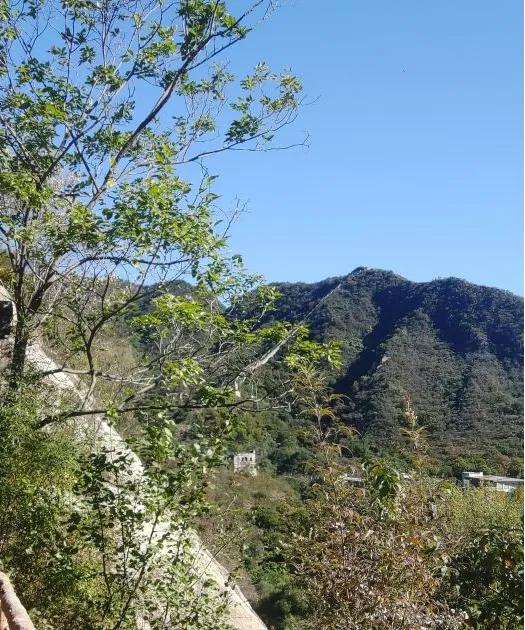 春风拂面登山去！北京7大爬山好去处，人少景美