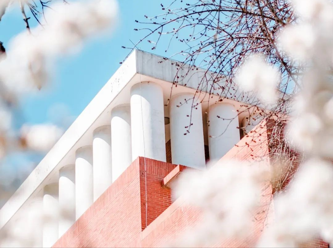 这一工作被列入宪法，人才需求旺盛！北京高校获批增设新专业，今年开始招生！